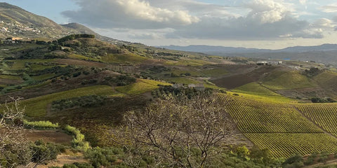 One day in Alcamo - Corkin