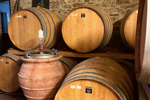 What Does Terroir Mean? - Corkin