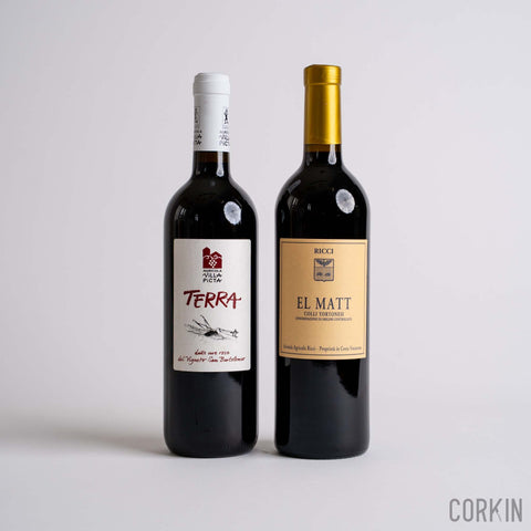 BOX REVOLUTION: Tannins Class - Corkin