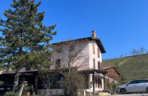 ricci estate