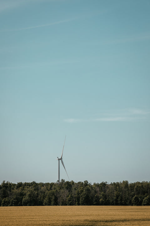 wind turbine