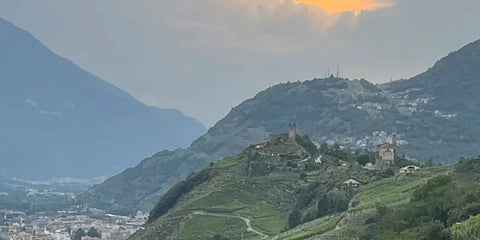 Crazy tour of Italy in 12 days - Corkin