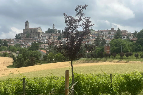 Not Just the Langhe