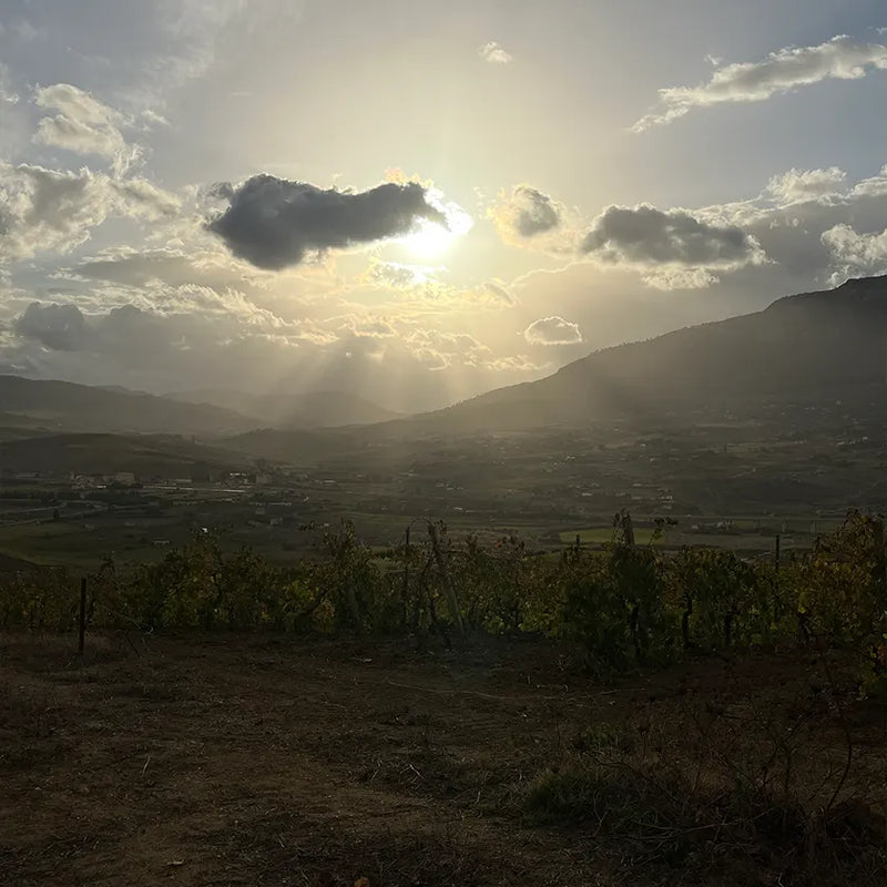 One day in Alcamo