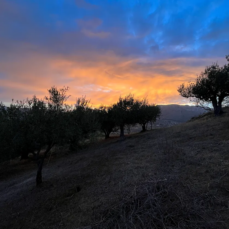 One day in Alcamo