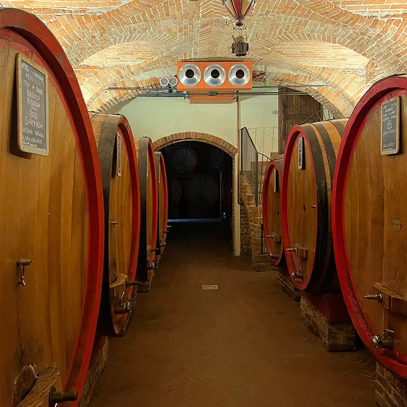 Going out of season to visit the best value Barolo?