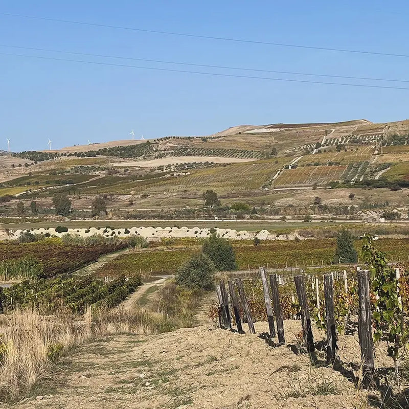 Mission Impossible: Reaching Calabria (But at Least There's Flixbus!)
