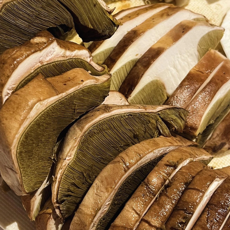 Porcini Hunting in the Italian Alps