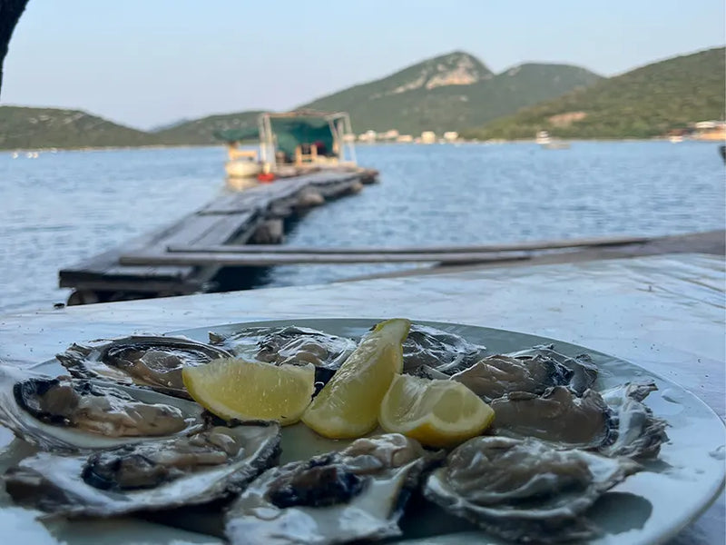 dalmatia fresh fish